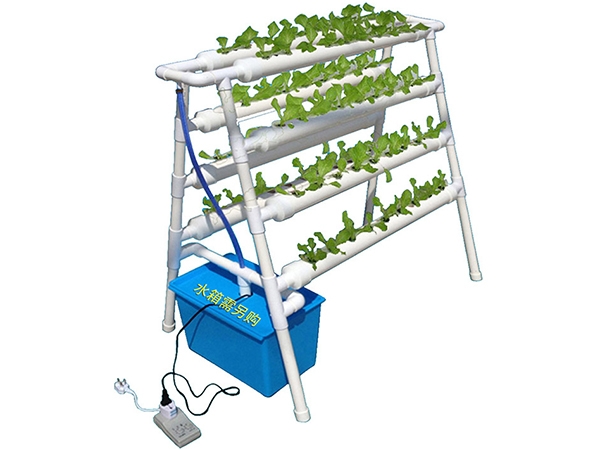 無(wú)土栽培種菜機(jī)-雙面梯